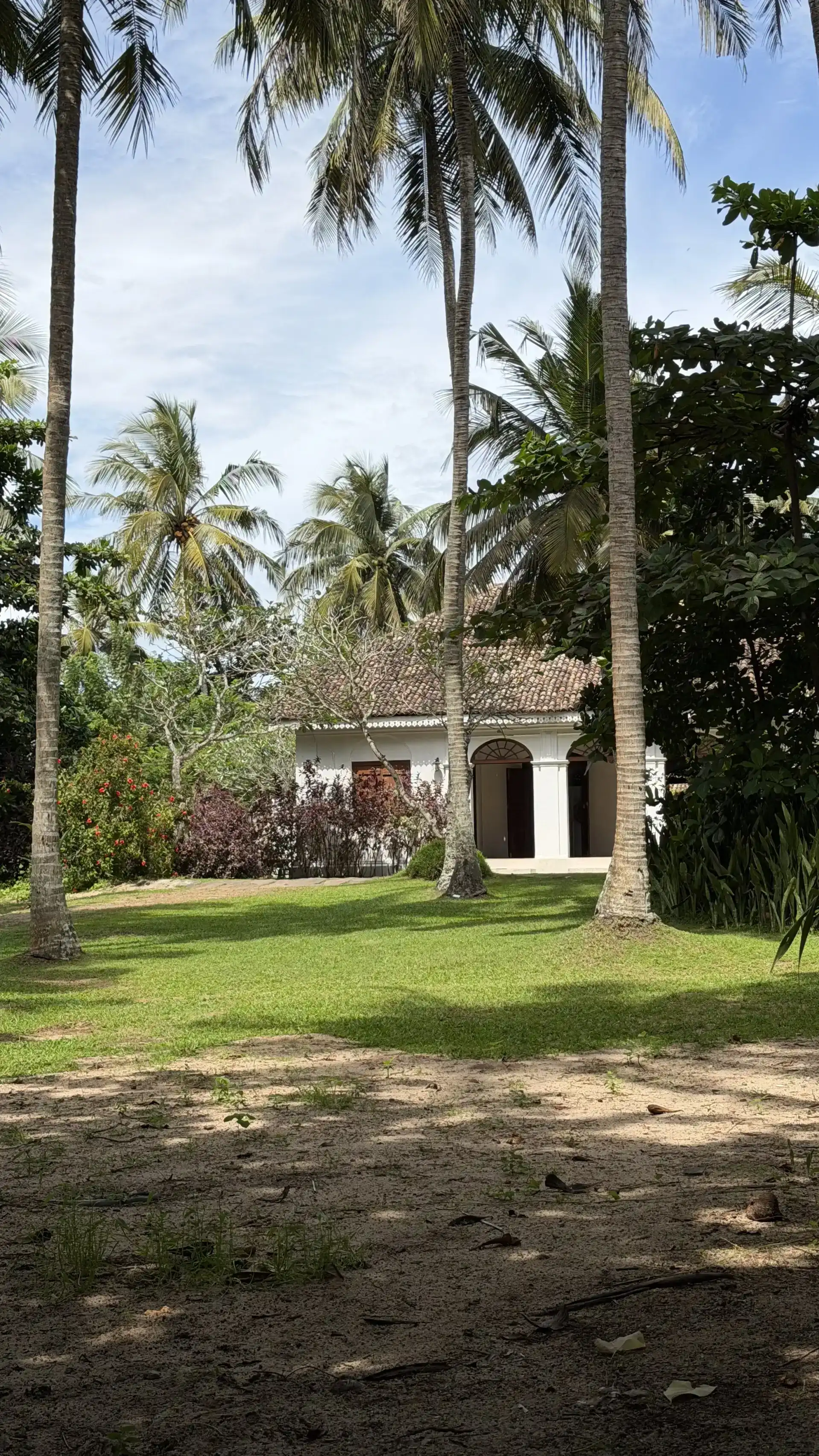 The Experience secondary image