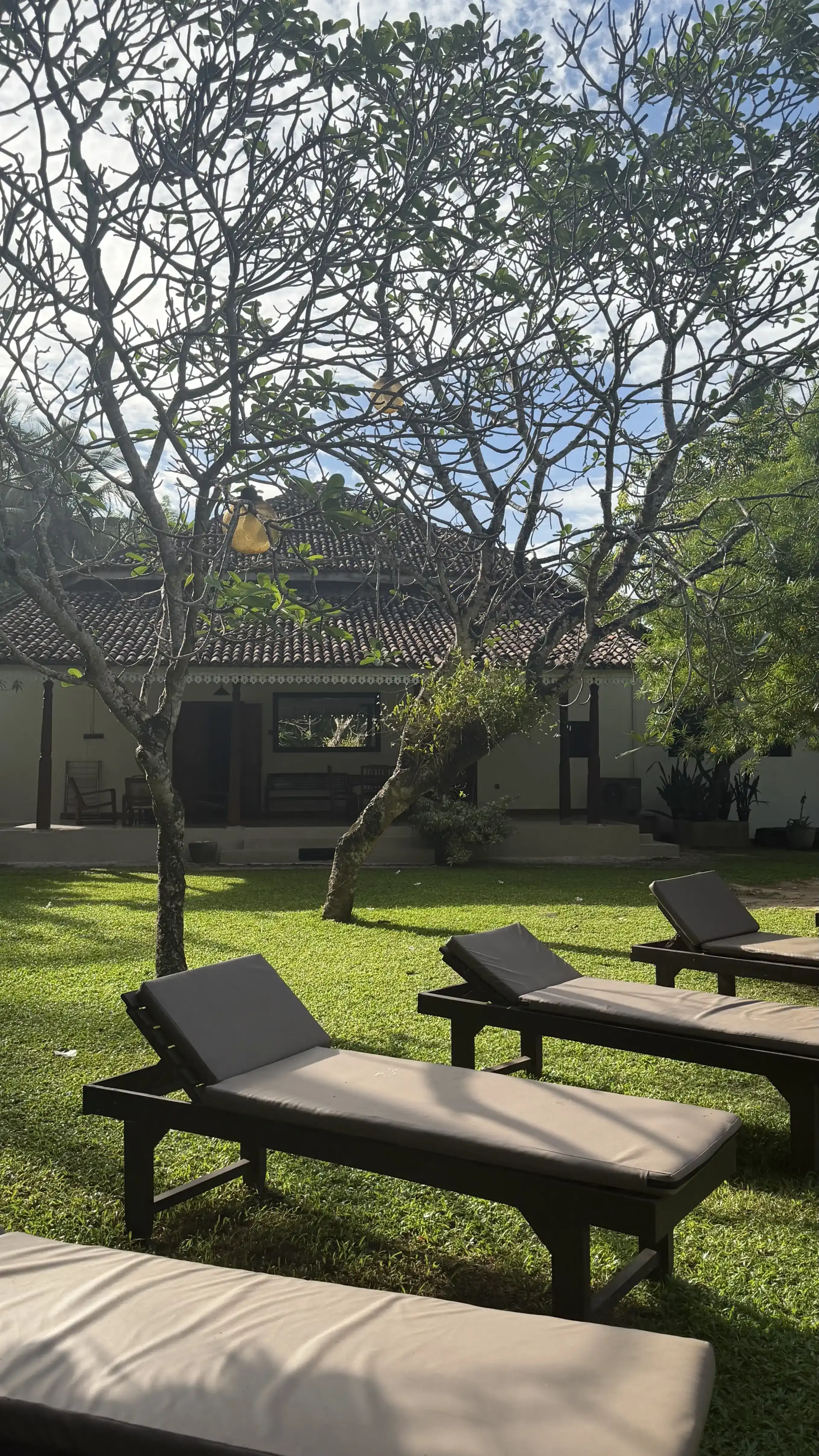 The Area secondary image