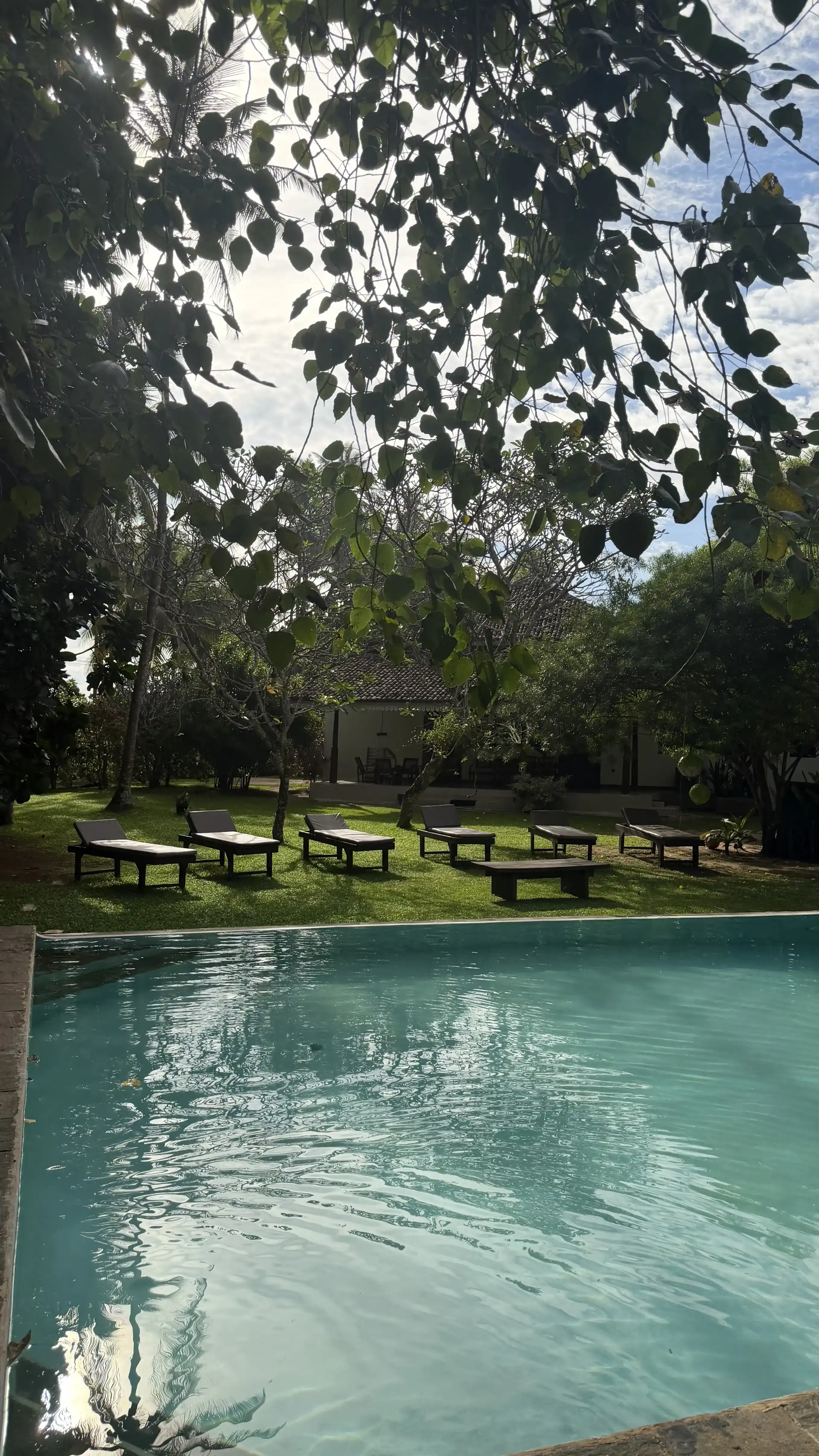 The Experience main image